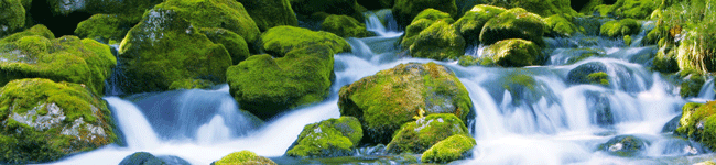 Eau Eau
