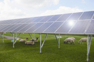 Panneaux Panneaux photovoltaïque